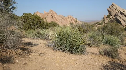 Desert Rocks and Bush Video stock 90072087