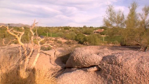 Desert rocks cactus cacti dead plants Stock Footage 125278085