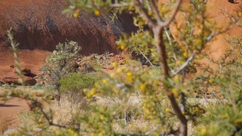 Desert Rocks Video stock 90460858