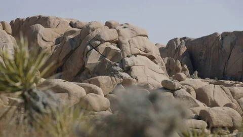 Desert Rocks Pan 4k Stock Footage 79663175