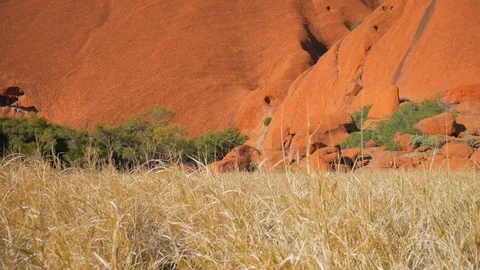 Desert Rocks Uluru Video stock 90460656