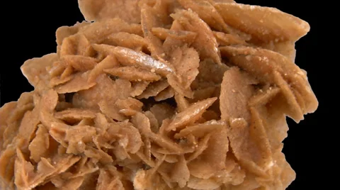 Desert rose close up isolated 02 Video stock 35145688