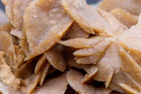 Desert Rose Crystal Formation Stock Photos