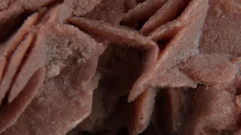 Desert Rose Video stock 333217803