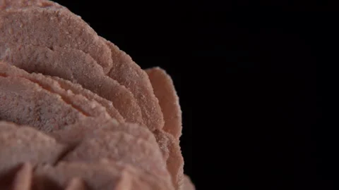 Desert Rose Vídeo Stock 333217966