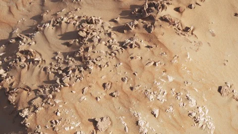 Desert rose is formations of crystal clusters of gypsum or baryte which include Stock Footage 90158910