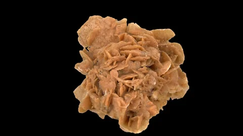 Desert rose isolated 02 Video stock 35148335
