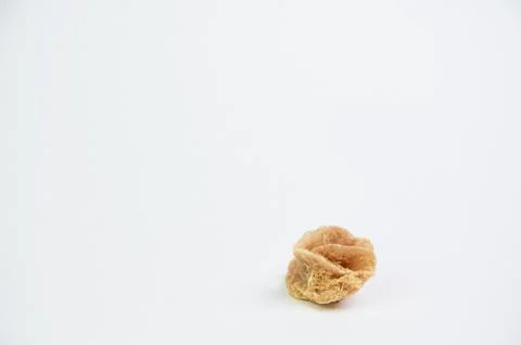 Desert rose on a light background close-up in the studio Stock Photos
