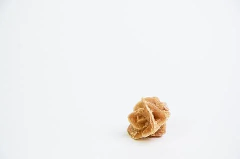 Desert rose on a light background close-up in the studio Stock Photos