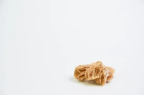 Desert rose on a light background close-up in the studio Stock Photos