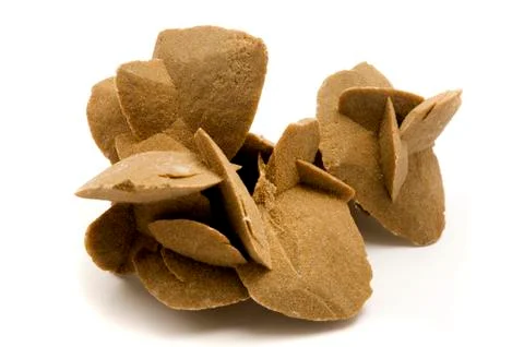 Desert rose Foto stock