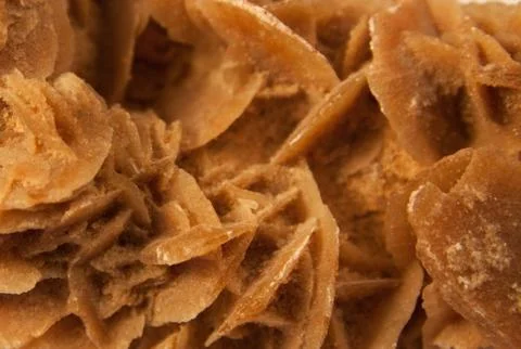 Desert rose Stock Photos