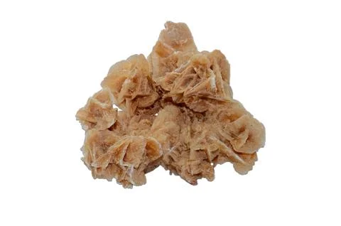Desert Rose Stock Photos