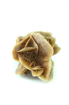 Desert rose Stock Photos