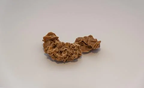 Desert rose Stock Photos