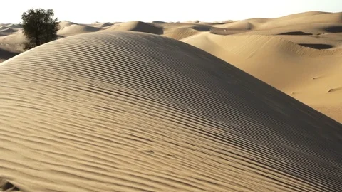 Desert Rub al Khali Video stock 125830364