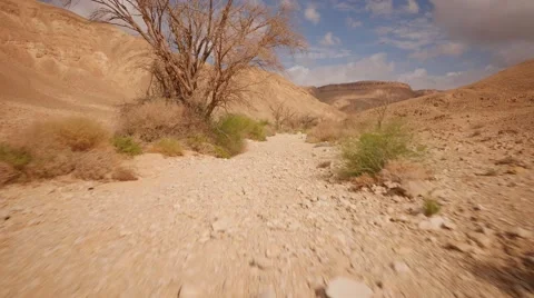 Desert run POV gimbal tracking 4K Stockbeeldmateriaal 45379740