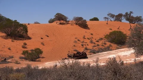 Desert Rusty Car Wreck 3 Stockbeeldmateriaal 119856655
