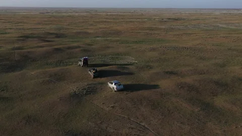 Desert Safari off-roading, group of car 4x4 vehicle rides on desert dune barkhan Stock-Footage 172054792