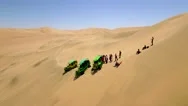 Desert Sand Boarding Stock Footage
