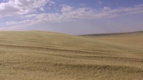 Desert sand in the lens Stock-Footage 46889801