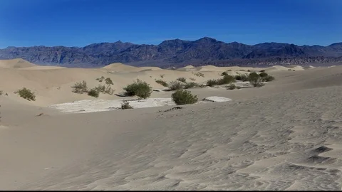 Desert sand shrubs and distant mountains Stock Footage 104848967