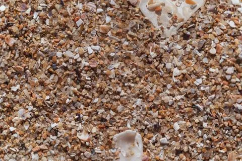 Desert sand texture Accona, macro, there is a place for text 库存照片