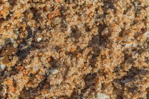 Desert sand texture Accona, macro, there is a place for text Stock Photos