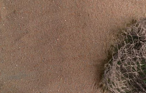 Desert sand texture, background. There is a place for text Stock Photos