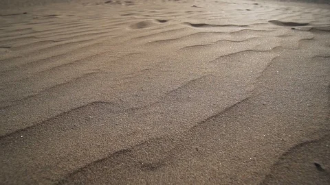 Desert sand texture at sunset. Dune close up, wide angle. Natural material Vídeos de archivo 117231652