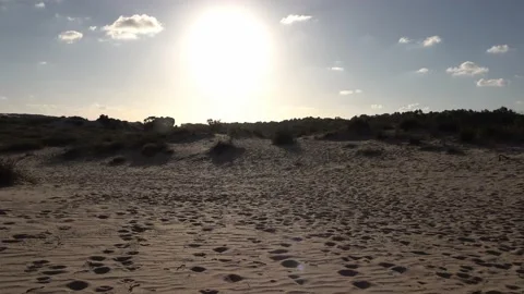 Desert Sands Afternoon Stock Footage 131360416