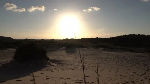 Desert Sands Afternoon Stock Footage 131361201