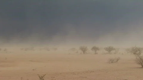 Desert Sandstorm and Dust storm, Haboob Stock Footage