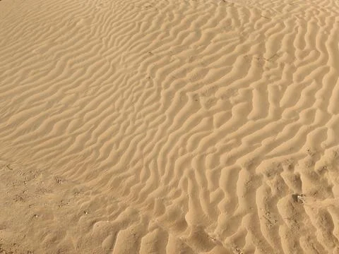 Desert sandy area Stock Photos