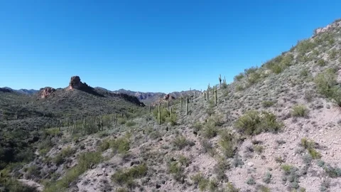 Desert Scene Stock Footage 272177848