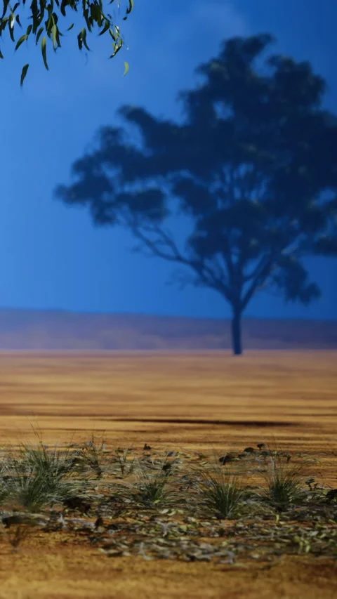 Desert scene with a tree and grass during twilight time in a vast landscape Vídeos de archivo 336583922