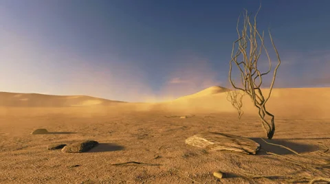 Desert scenery with dead trees on foreground Stock Footage