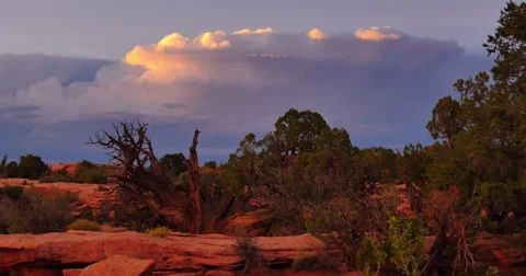 Desert Scenery Pan Stock Footage 44234677