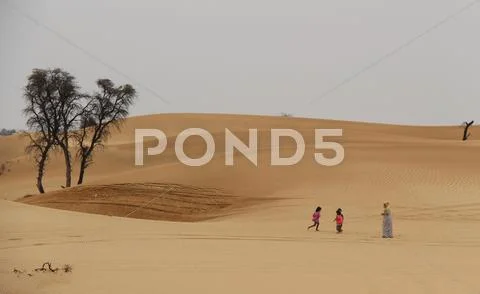 Desert scenes in United Arab Emirates