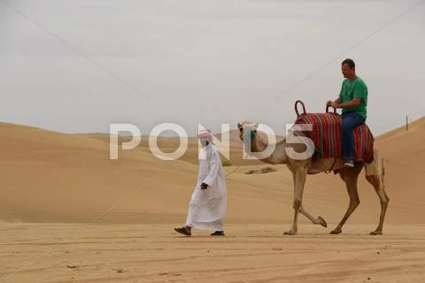 Desert scenes in United Arab Emirates