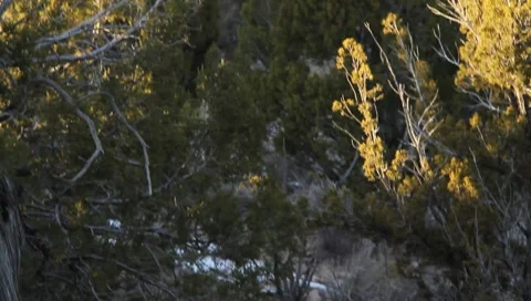 Desert Scenic 1341 Stock Footage 1027886