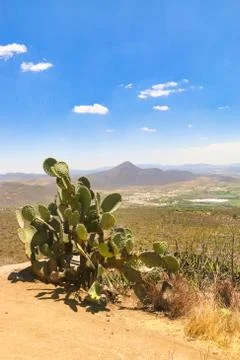 Desert scenic Stock Photos