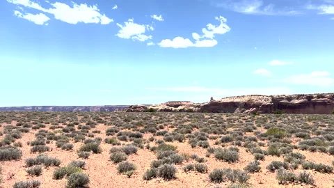 Desert scrub brush in utah Видео 217415403