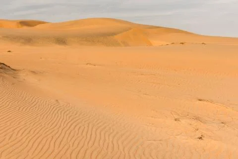 Desert in Senegal Stock Photos