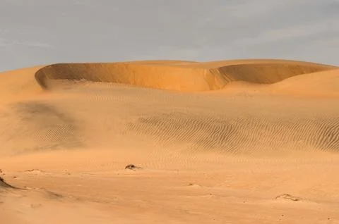 Desert in Senegal Stock Photos