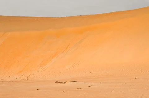 Desert in Senegal Stock Photos