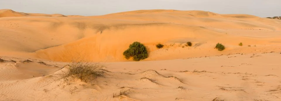 Desert in Senegal Stock Photos