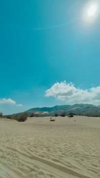Desert Sentinel 写真素材
