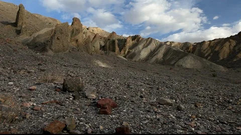 Desert Sentinels Video stock 104849734
