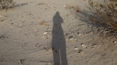 Desert Shadow Tilt Up to Mountains Stock Footage 74137615